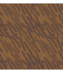 Servet Origin Nature