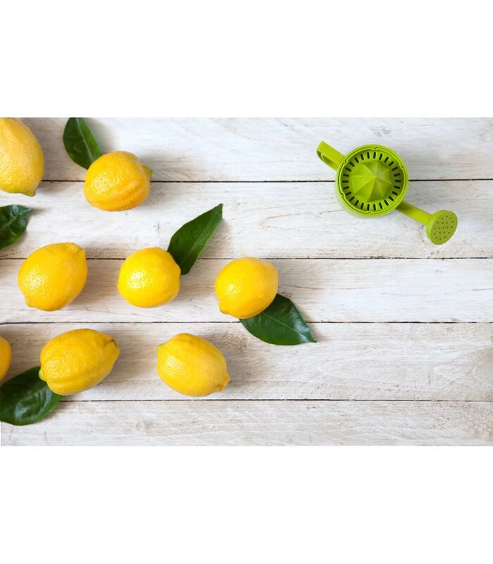 Lemoniere - Citruspers 6 Lemoniere - Citruspers - Afbeelding 4