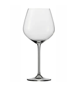 Schott Zwiesel FORTISSIMO Set 6 BOURGOGNEGLAS GROOT 140