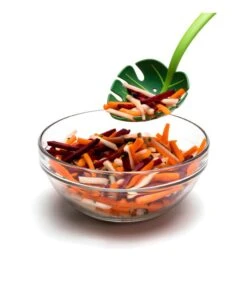 Jungle Spoon 10 Jungle Spoon -Beste Keukengerei Winkel c356654a782a4d82a5b1dee86d5131de